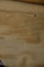 Mẫu da